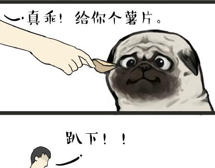 第21话 巴扎黑不是我亲生的！1