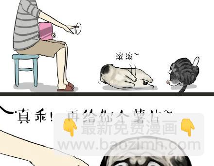 第21话 巴扎黑不是我亲生的！3