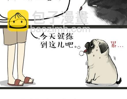 第21话 巴扎黑不是我亲生的！5