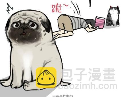 第21话 巴扎黑不是我亲生的！7