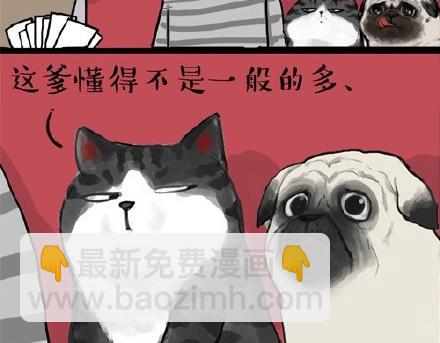 第22话 全民CP时代！9