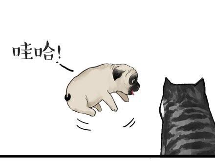 第23话 这是巴扎黑的专场！0