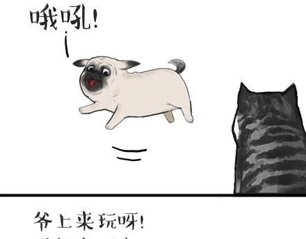 第23话 这是巴扎黑的专场！1
