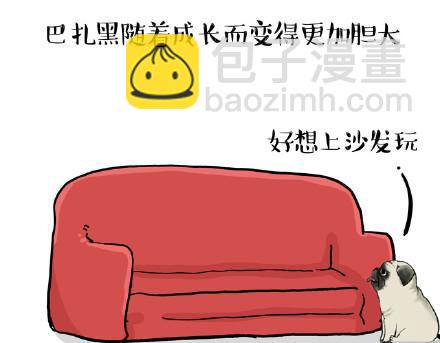 第23话 这是巴扎黑的专场！20