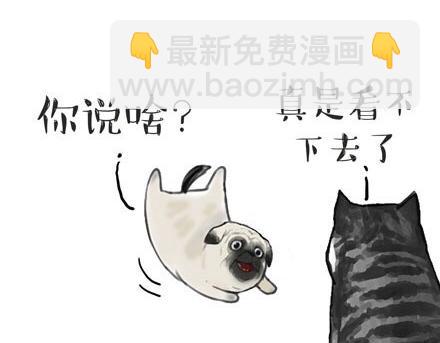 第23话 这是巴扎黑的专场！4