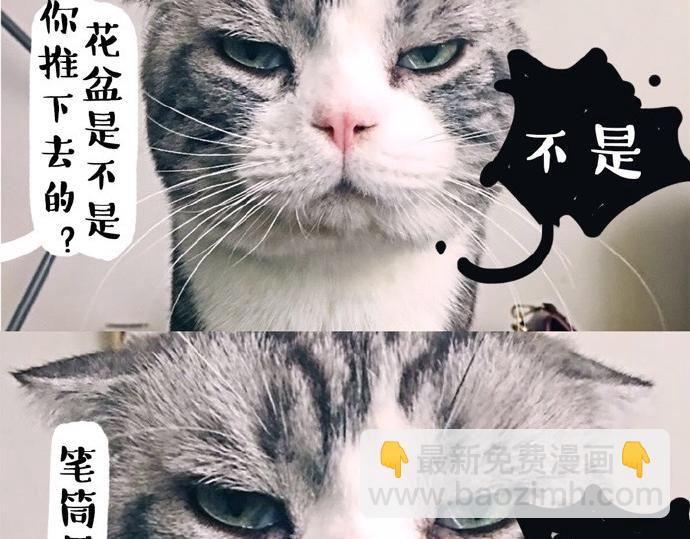 第26话 犯错你会卖萌求原谅吗12