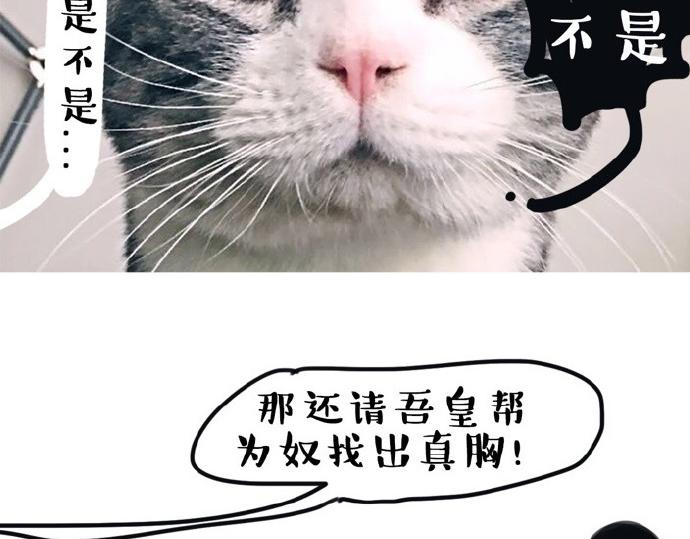 第26话 犯错你会卖萌求原谅吗13