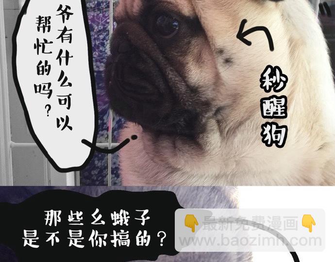 第26话 犯错你会卖萌求原谅吗20