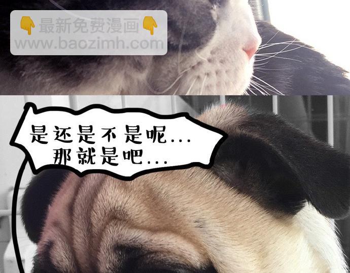 第26话 犯错你会卖萌求原谅吗23