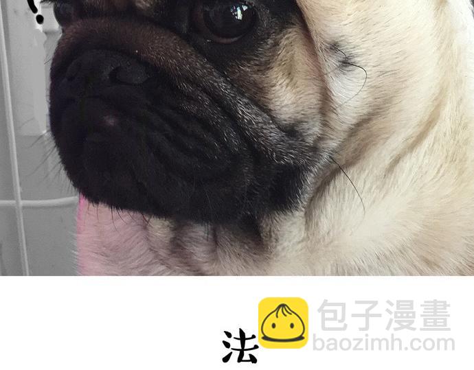 第26话 犯错你会卖萌求原谅吗24