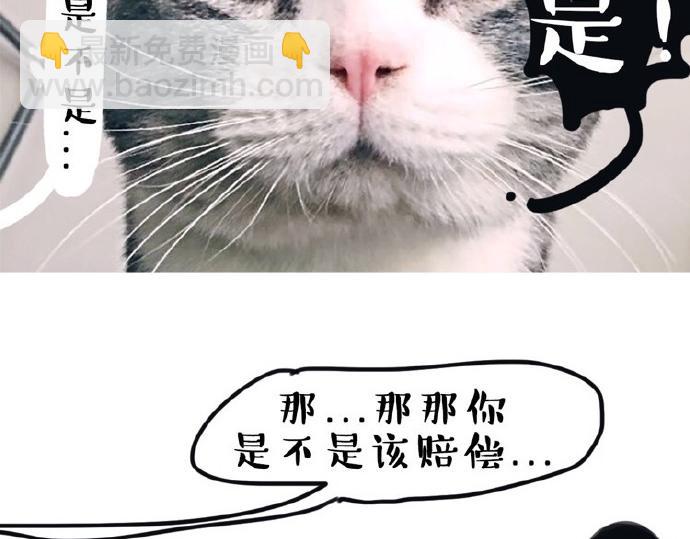 第26话 犯错你会卖萌求原谅吗4