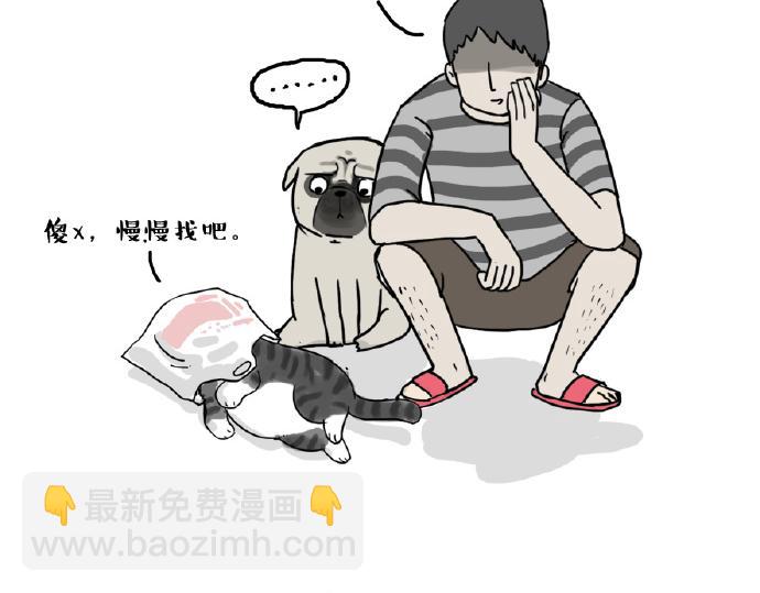 第28话 与喵星失去联系的吾皇4