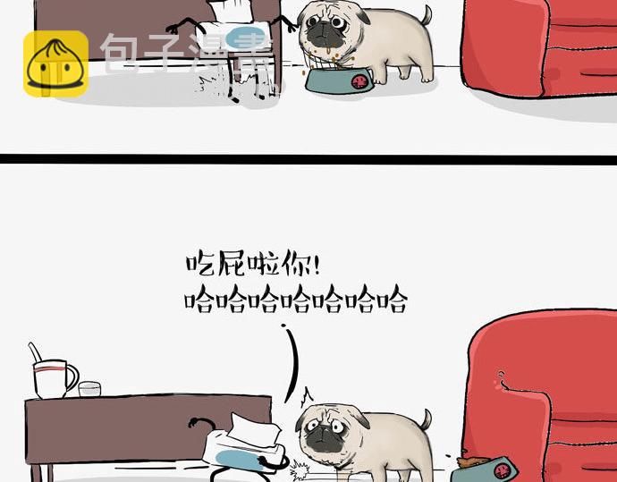 第29话 就算高考也要铲屎20