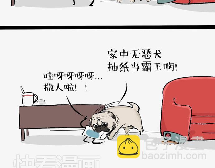 第29话 就算高考也要铲屎21