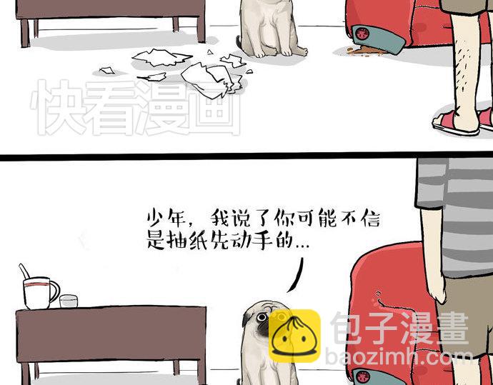 第29话 就算高考也要铲屎31