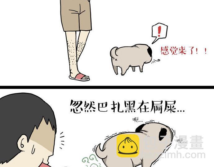 第29话 就算高考也要铲屎9