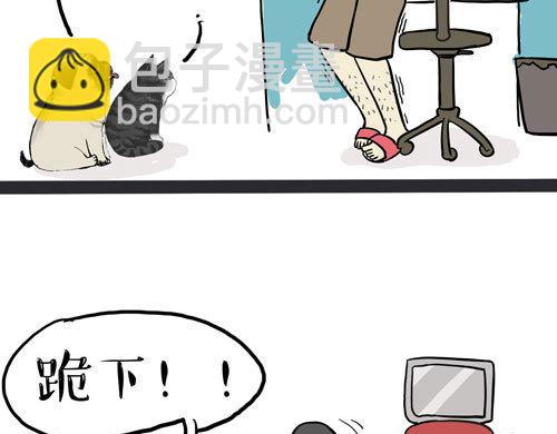 第30话 能运功的喵星人4