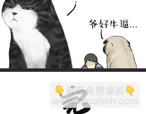 第30话 能运功的喵星人6