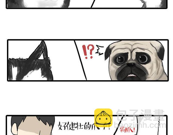 第31话 来自喵星人的快感2