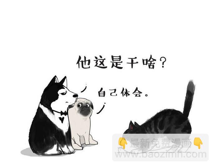 第31话 来自喵星人的快感9