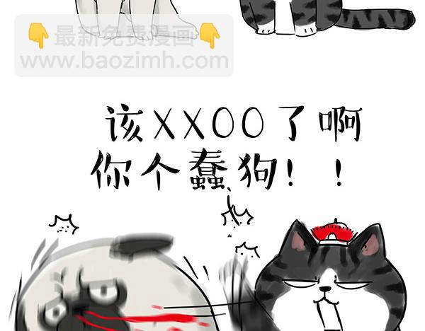 第32话 七夕你为什么还单身？11