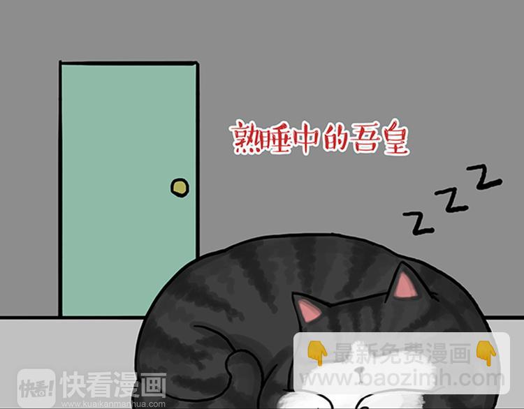 第33话 洗猫的少年总是孤独的29