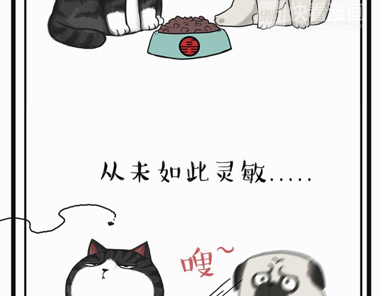 第35话 偷吃的鼓手巴扎黑25