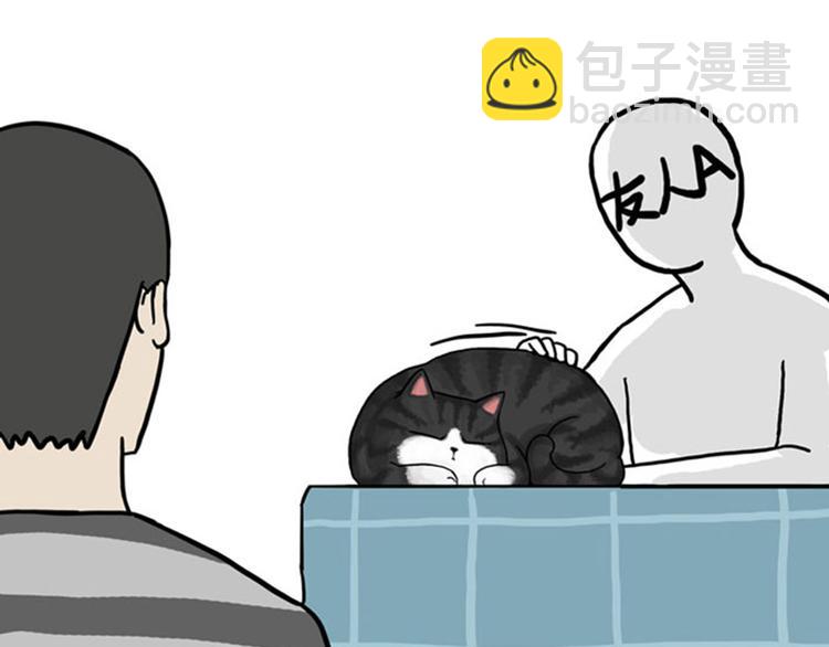 第36话 猫奴为什么没有尊严1