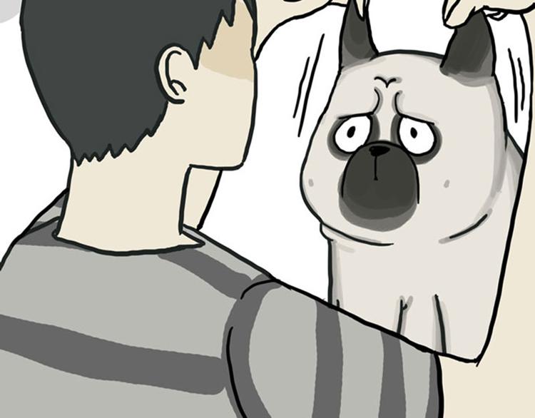 第36话 猫奴为什么没有尊严10