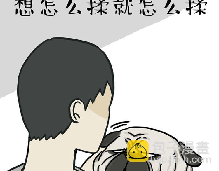 第36话 猫奴为什么没有尊严13