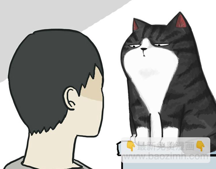 第36话 猫奴为什么没有尊严15