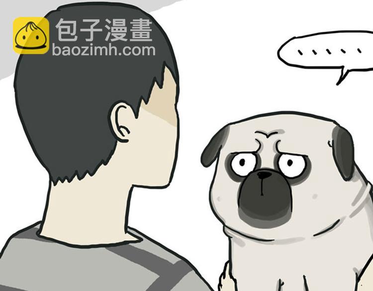 第36话 猫奴为什么没有尊严8
