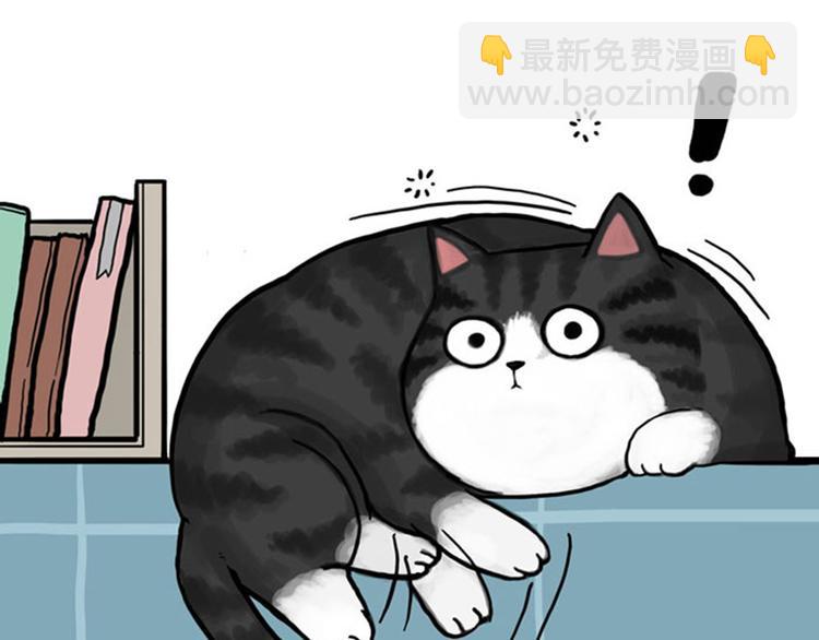 第37话 今天，你优雅了吗24