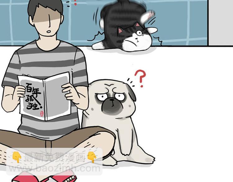 第37话 今天，你优雅了吗26