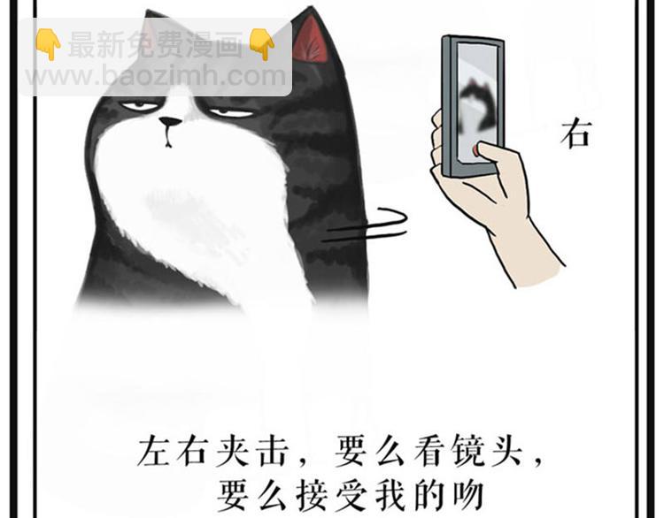 第37话 今天，你优雅了吗31