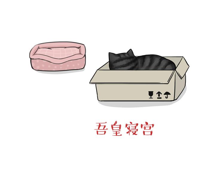 第38话 猫星人的三宫六院12
