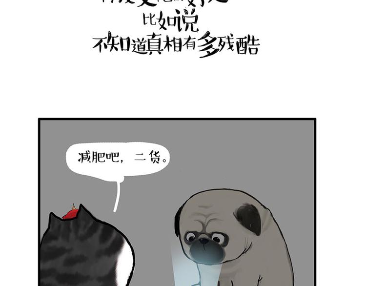 第38话 猫星人的三宫六院20
