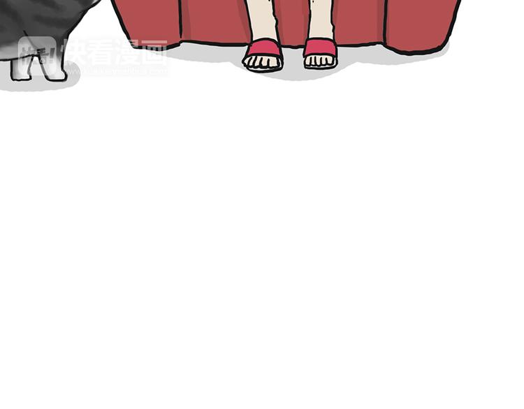 第39话 现在的猫狗戏比人都多11