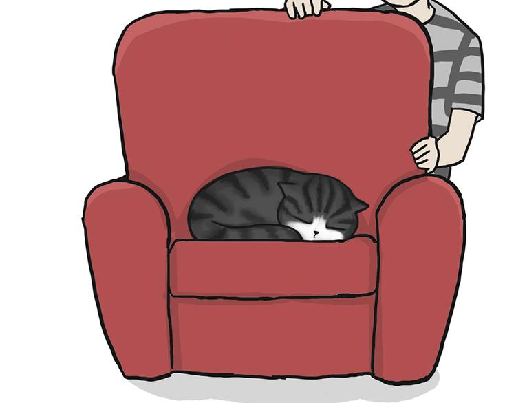 第39话 现在的猫狗戏比人都多13
