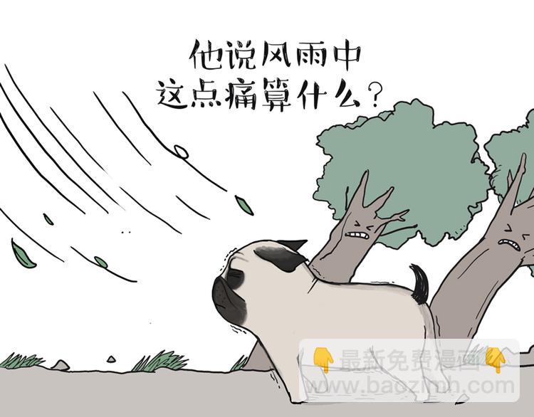 第39话 现在的猫狗戏比人都多19