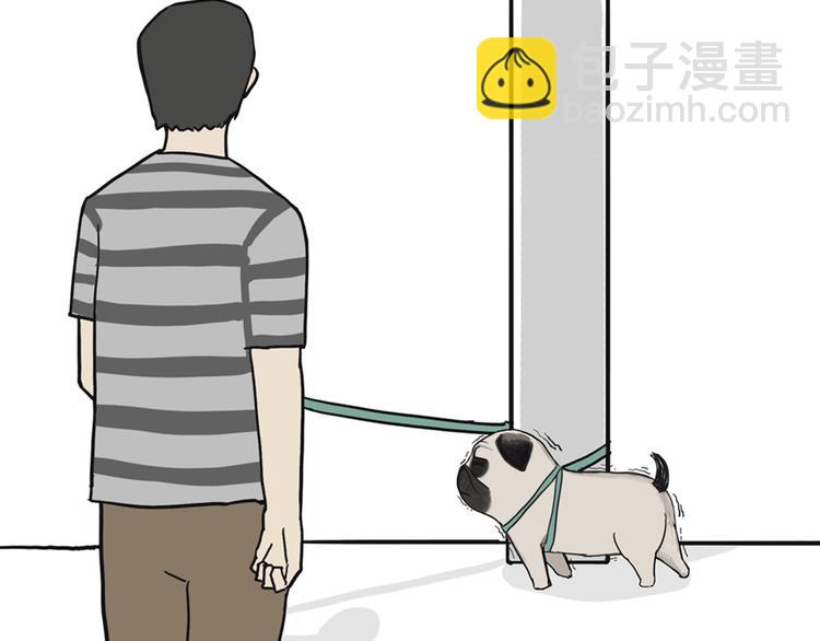 第39话 现在的猫狗戏比人都多22