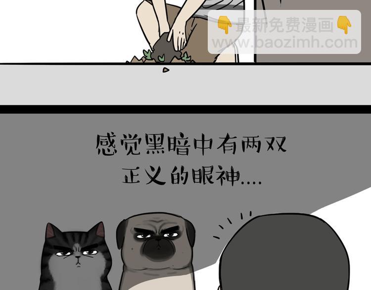 第41话 好气哦，人不如狗15