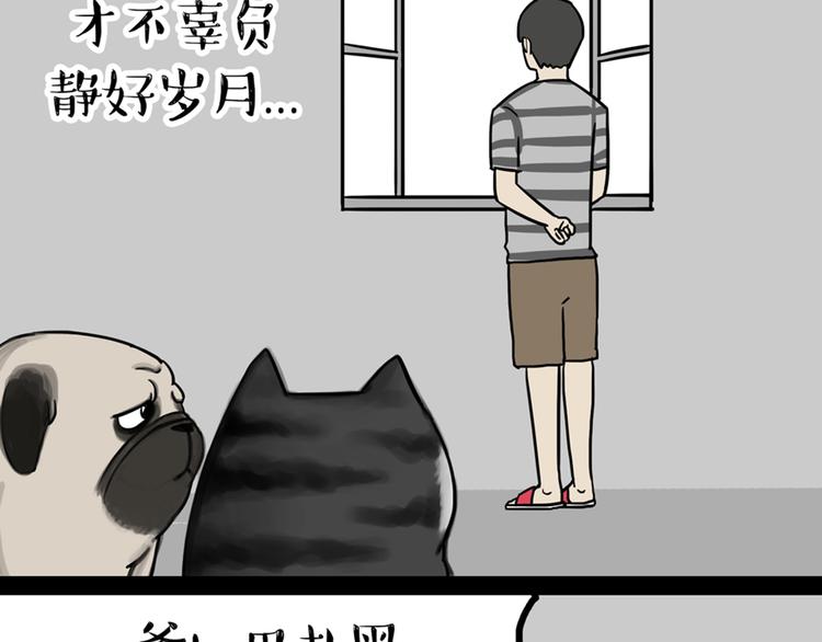 第41话 好气哦，人不如狗19