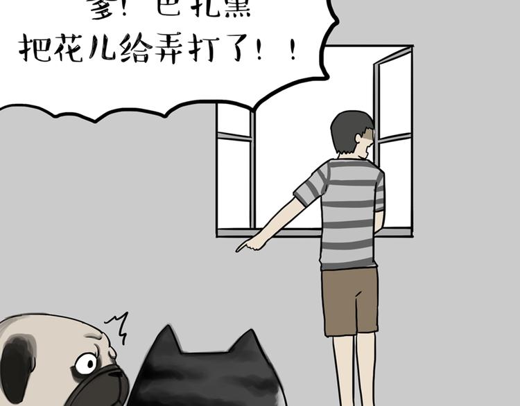 第41话 好气哦，人不如狗20