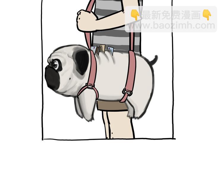 第42话 猫奴的“幸福”2