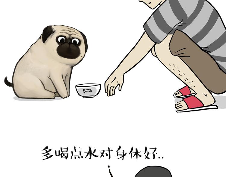 第44话 日常坑狗，却猫前屈膝1