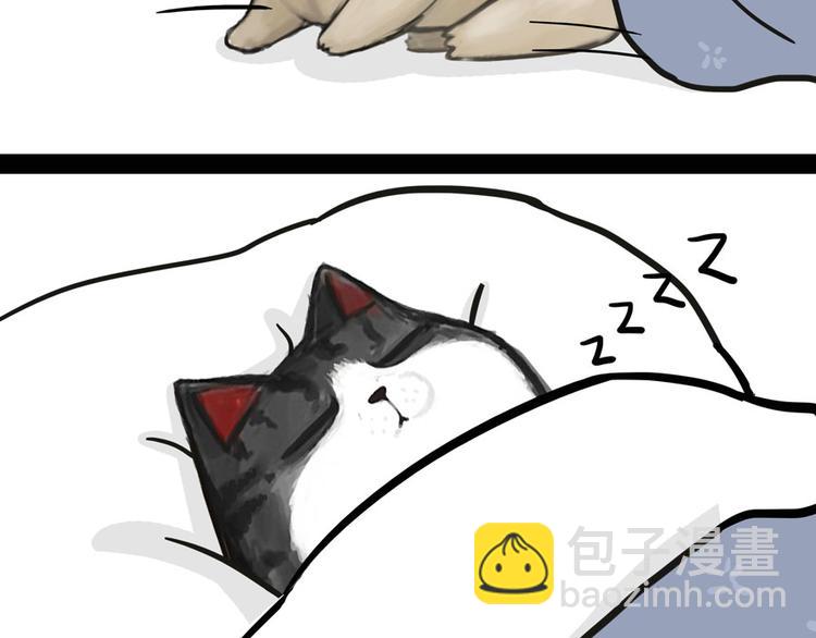 第44话 日常坑狗，却猫前屈膝12