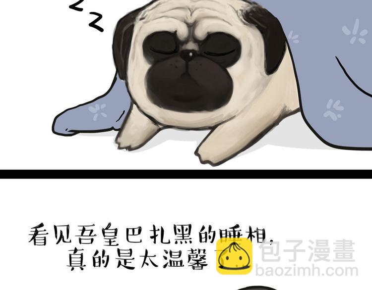 第44话 日常坑狗，却猫前屈膝14