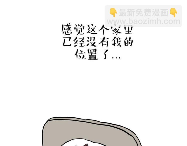 第44话 日常坑狗，却猫前屈膝16