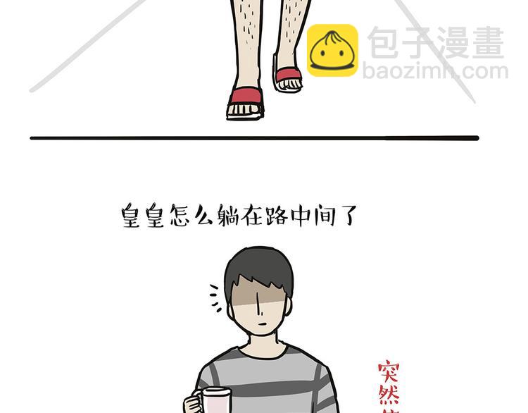 第44话 日常坑狗，却猫前屈膝21